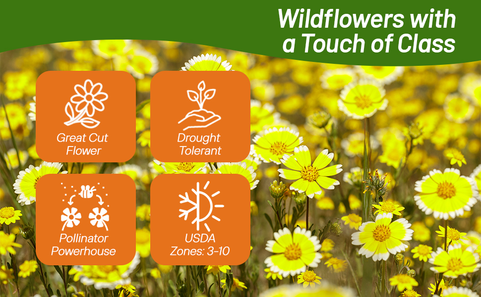 Tidy Tips Cut Flowers For Vases & Boquets