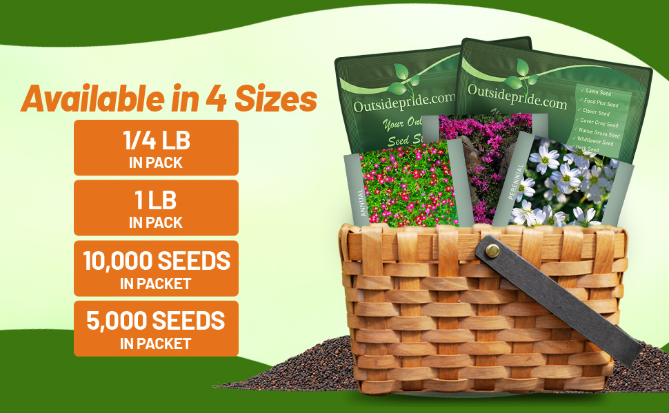 Gypsophila Seed Packets & Bulk Bags For Planting Wildflowers & Ground Cover