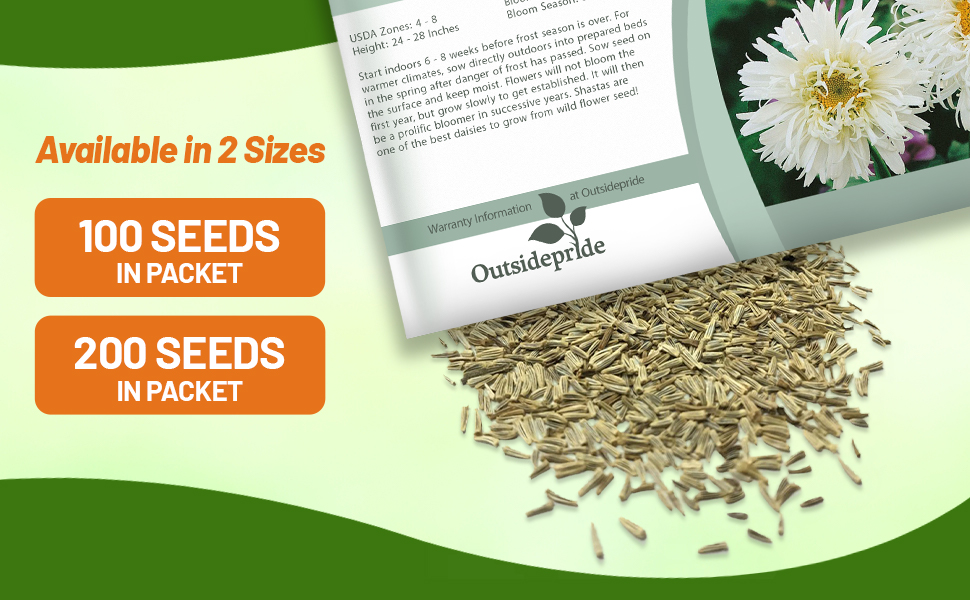Perennial Chrysanthemum Shasta Crazy Daisy Flower Seed Packet