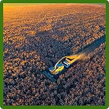 High Protein Content Pasture Grass Seed