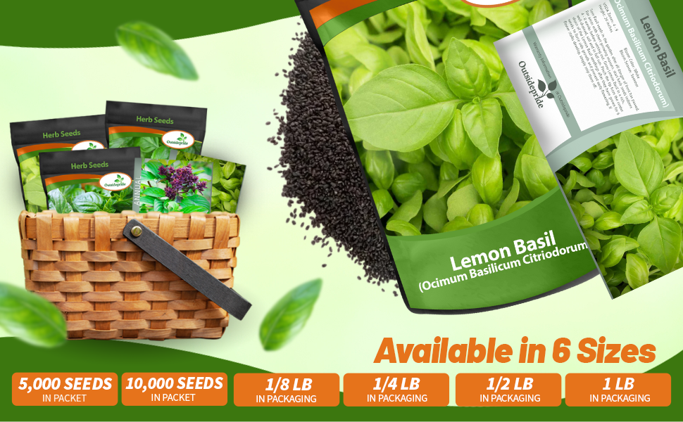 Basil Herb Seed Packet & Bulk For Sale