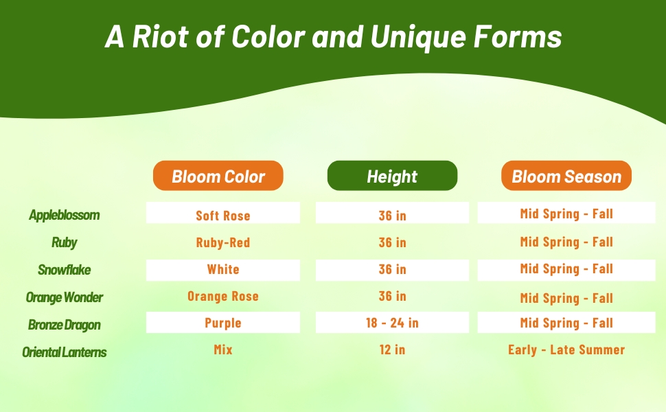 Snapdragon Bloom Season, Height, & Color Chart