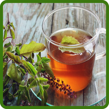 Basil Tea