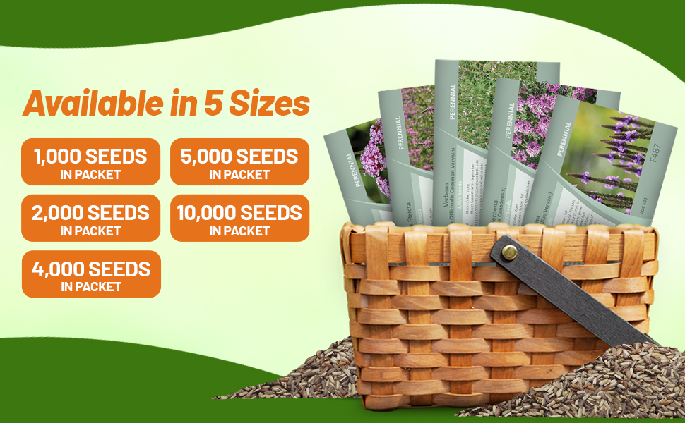 Vervain Seed Packets For Planting