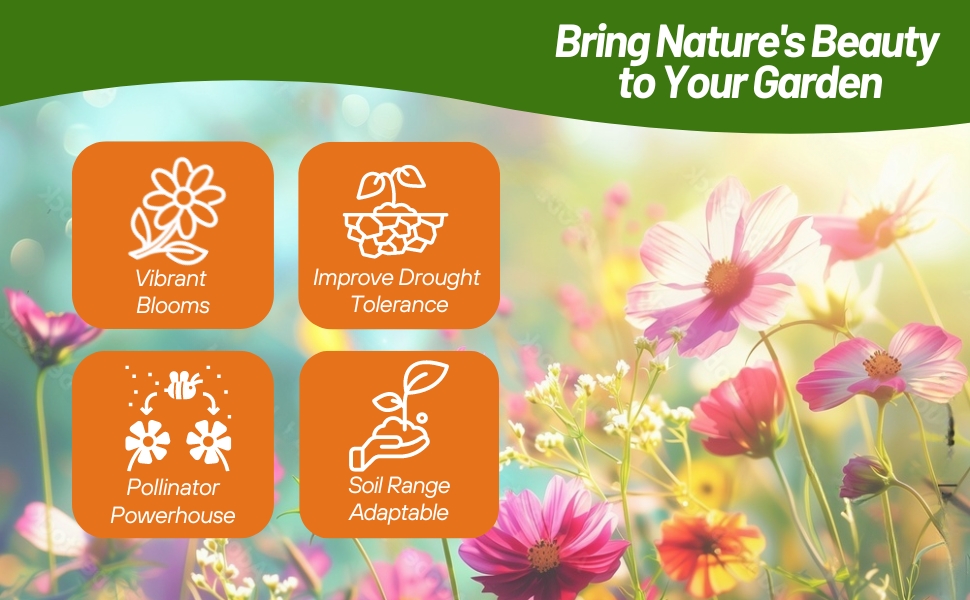 Northeastern Wildflower Pollinator Powerhouse