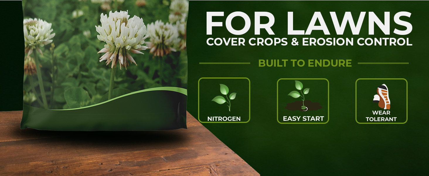 White Dutch Clover Bulk Seed