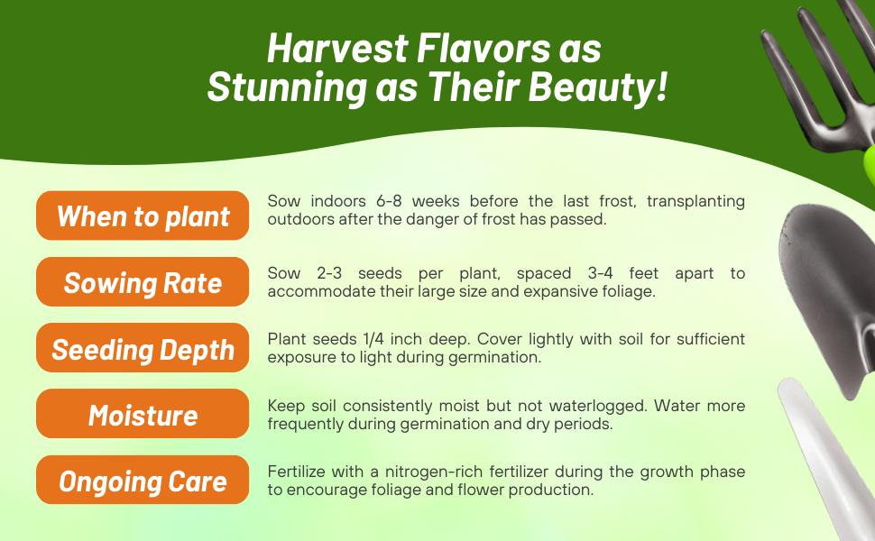 Planting Directions For Artichoke Herb & Vegetable Seeds