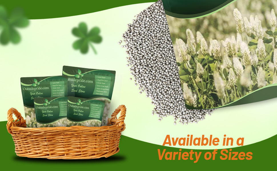 White Cloud Crimson Clover Seed for Pasture, Hay, Green Manure, Cover Crop, & Wildlife Forage