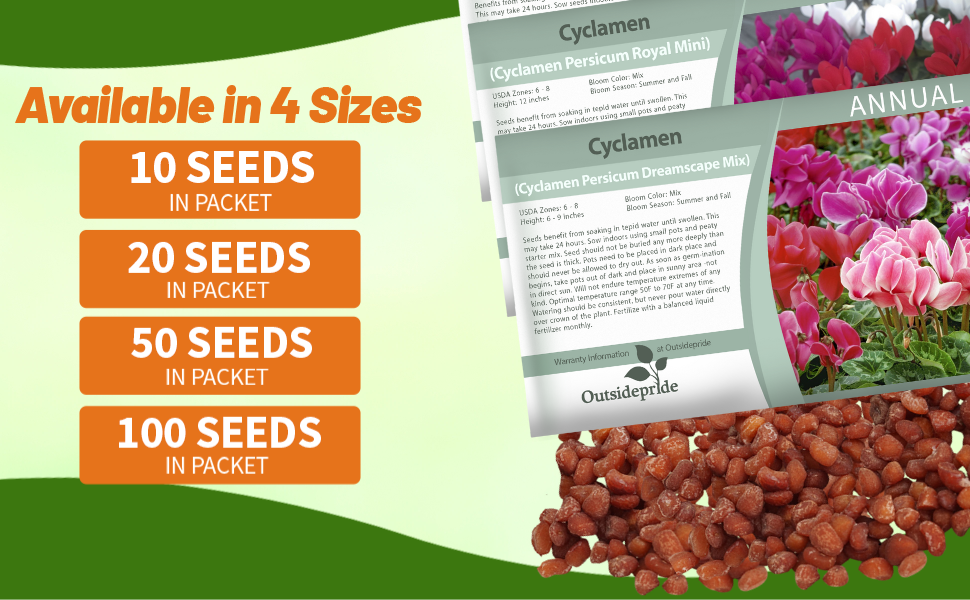 Cyclamen Persicum Flower Seeds Packets For Planting