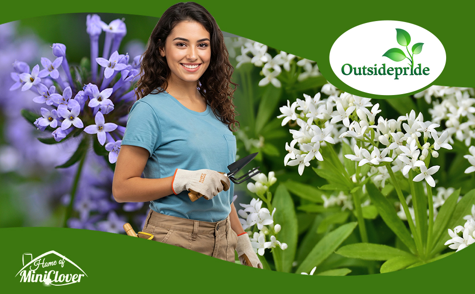 Woodruff Herbs in Garden