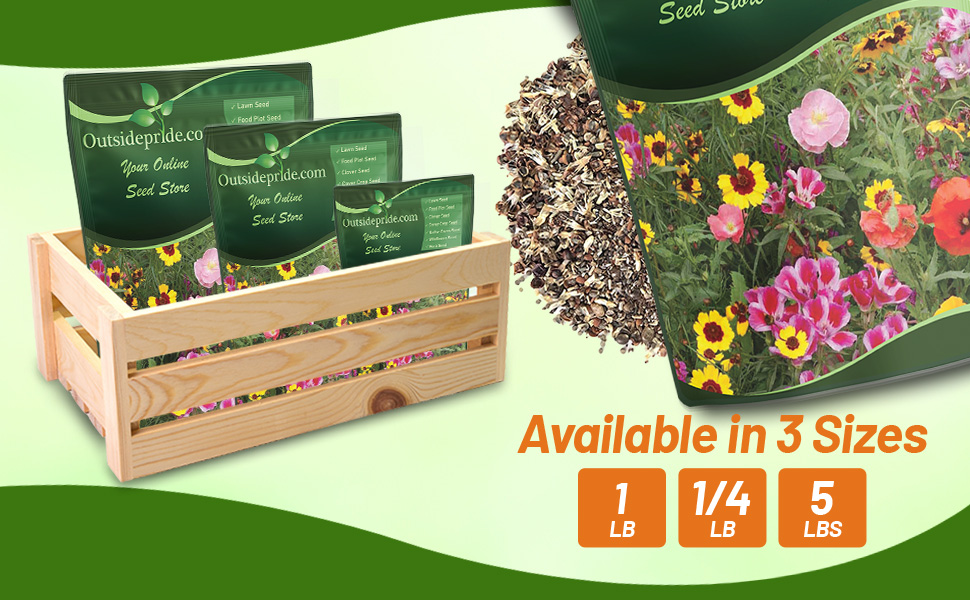 Pollinator Wildflower Seed Mixture Seed Bags For Planting