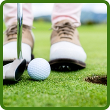 Backyard Home Putting Green Seed
