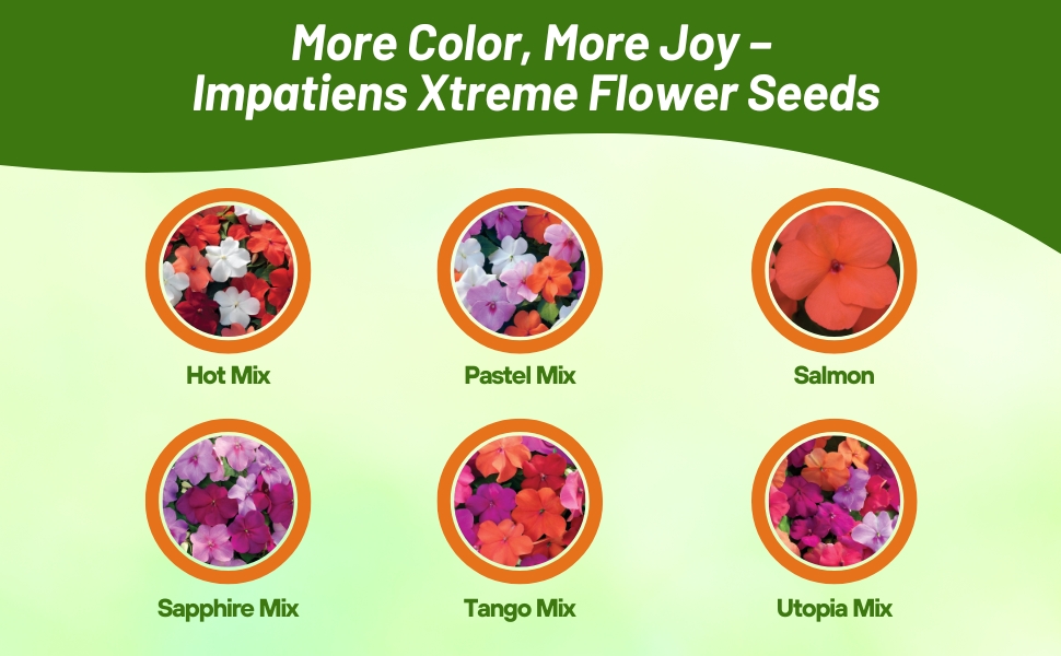 Varieties of Impatiens Xtreme Outsidepride Sells Flower Seed Packets of