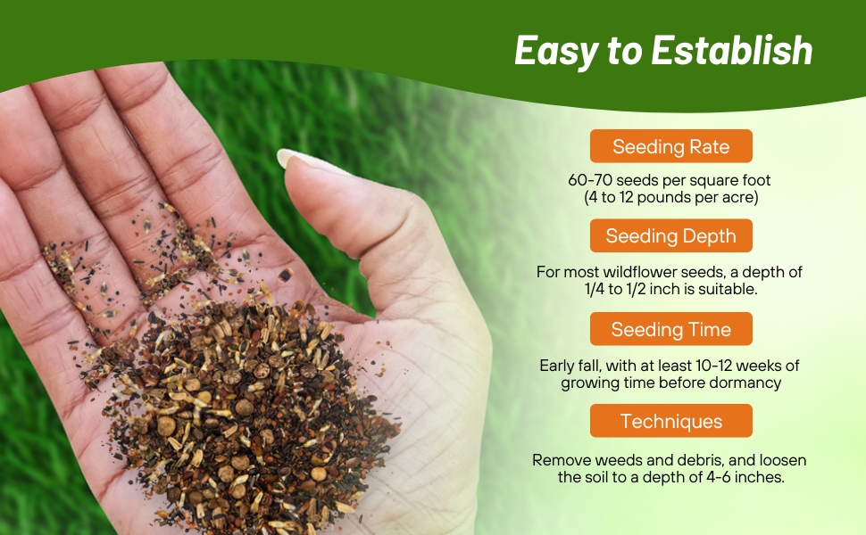 Planting Directions For White Wild Flower Seeds