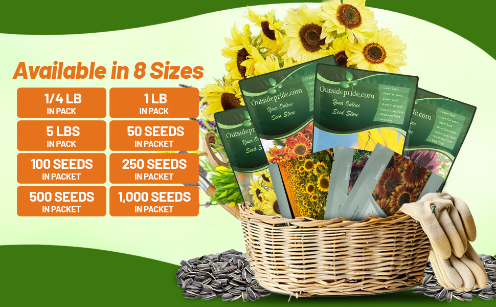 Helianthus Annuus Sunflower Bulk Seed Bags For Planting