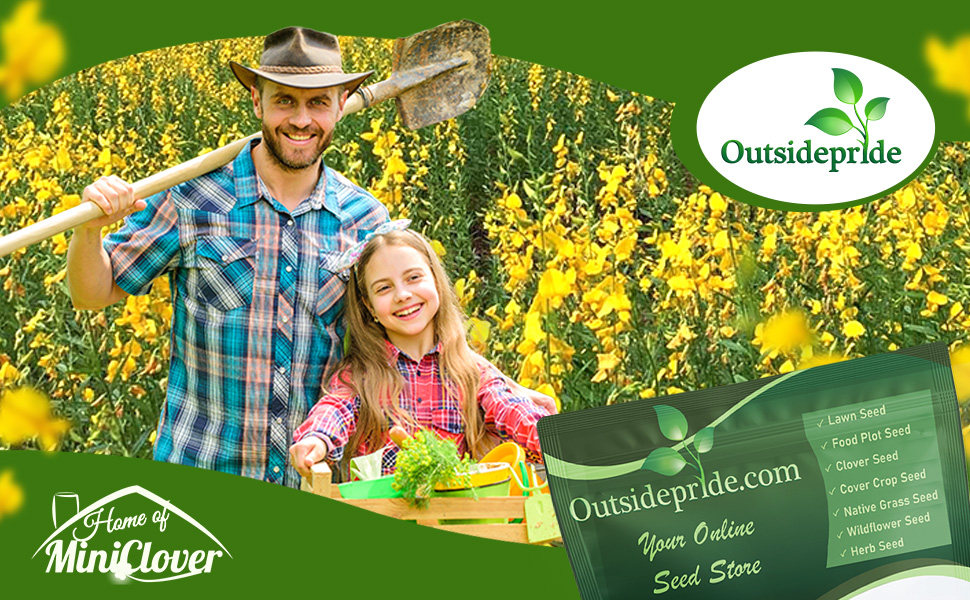 People in Yellow Flowering Sunn Hemp Field