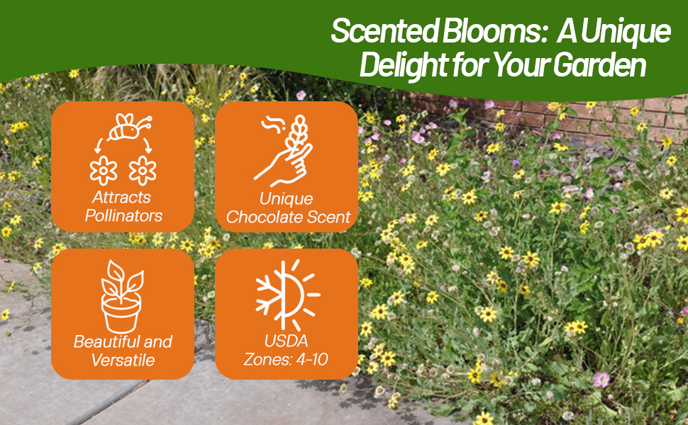 Chocolate Flower Garden