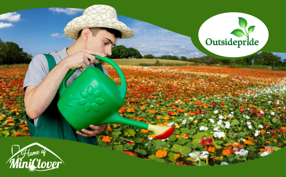 Watering Nasturtium Flower Garden