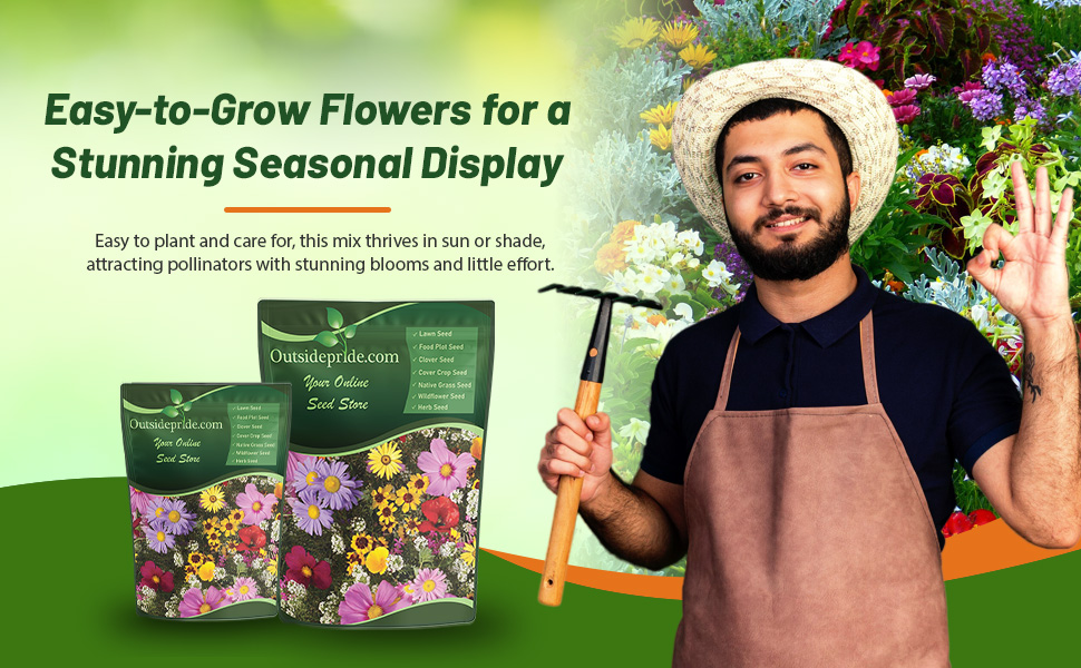Attractant Wildflowers For Birds, Bee, Butterflies, and Other Pollinators