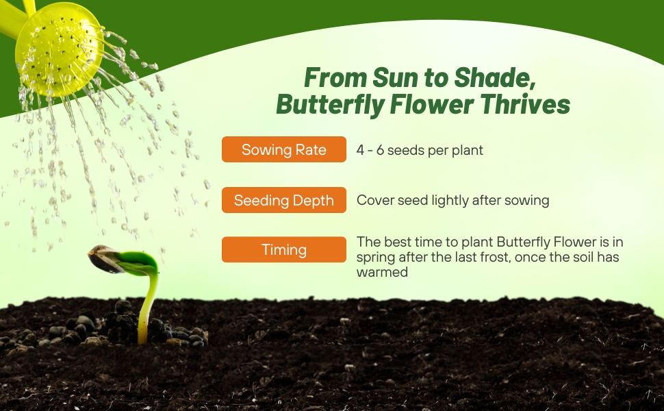 Sowing Rate & Planting Insructions For Butterfly Flower