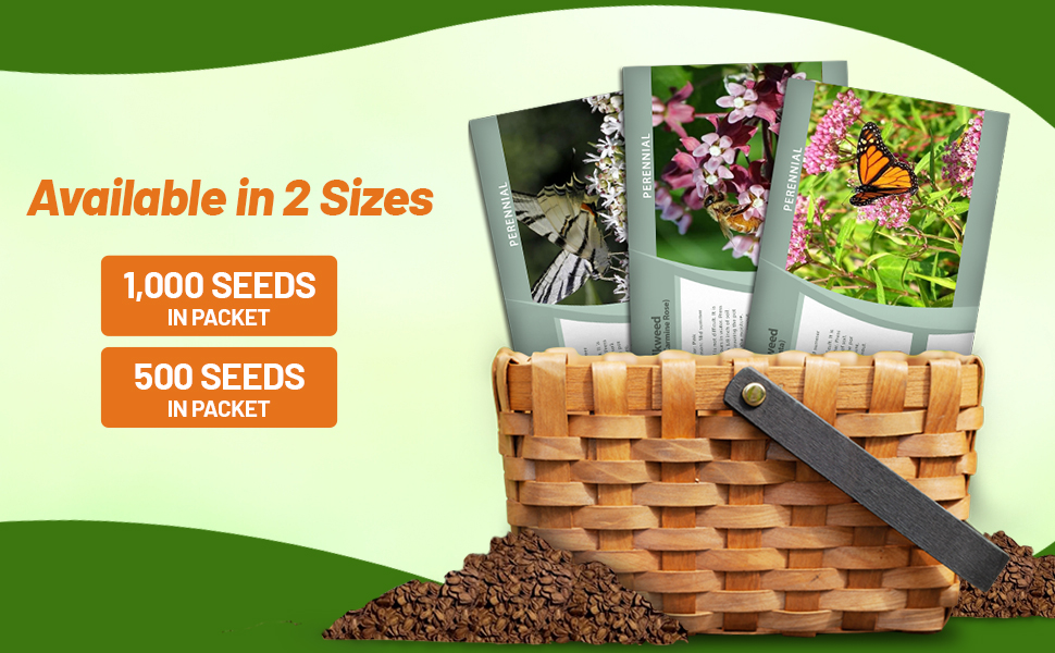 Asclepias Incarnata Swamp Milkweed Seed Packets For Planting
