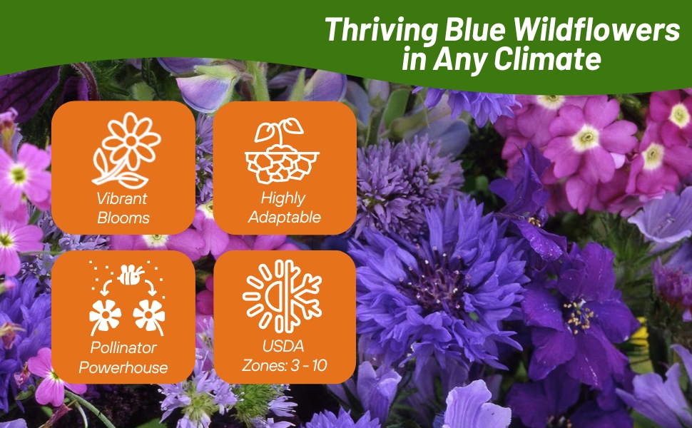 Blue Flower Seeds For Planting