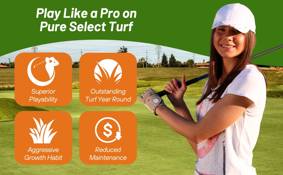 Aggressive Growth Habit Pure Select Putting Green Seed