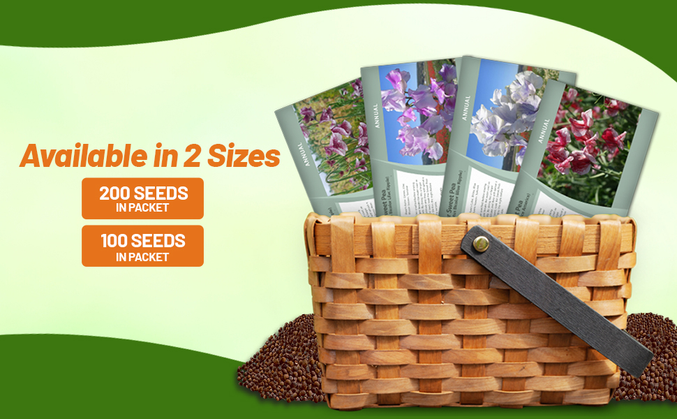 Bicolor Lathyrus Sweet Peas Flower Seed Packets For Planting