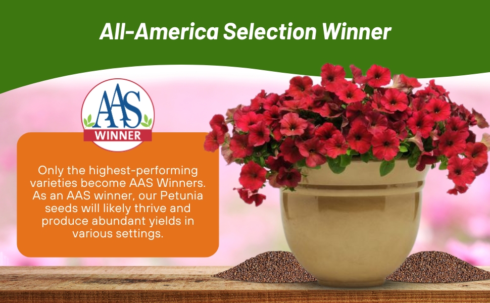 All American Selection Winner Red Velour Wave Petunia