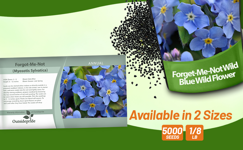 Blue Myosotis sylvatica Forget-me-not Seed Bag For Planting