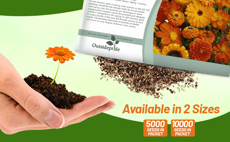 Orange Wild Flower Seed Packet For Planting