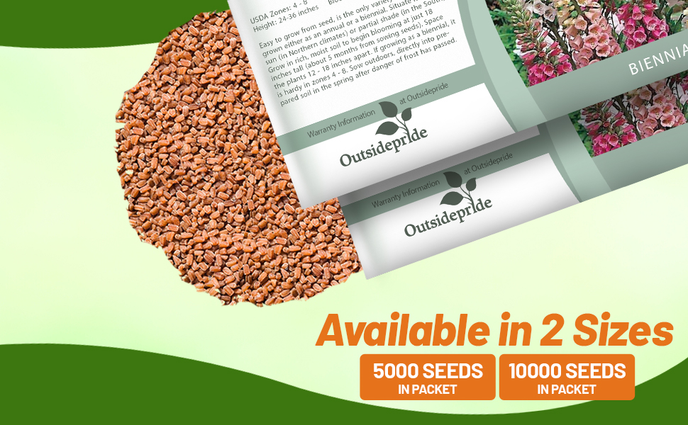 Foxglove Foxy Seed Packet