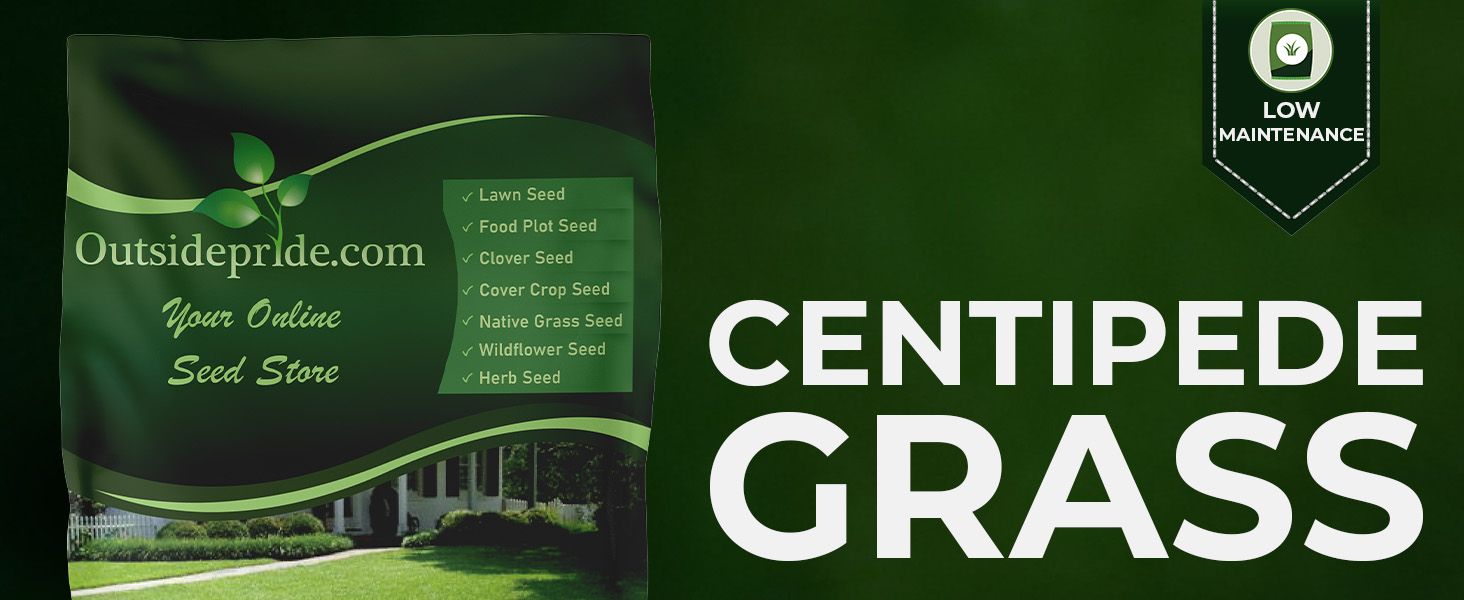 Centipede Grass