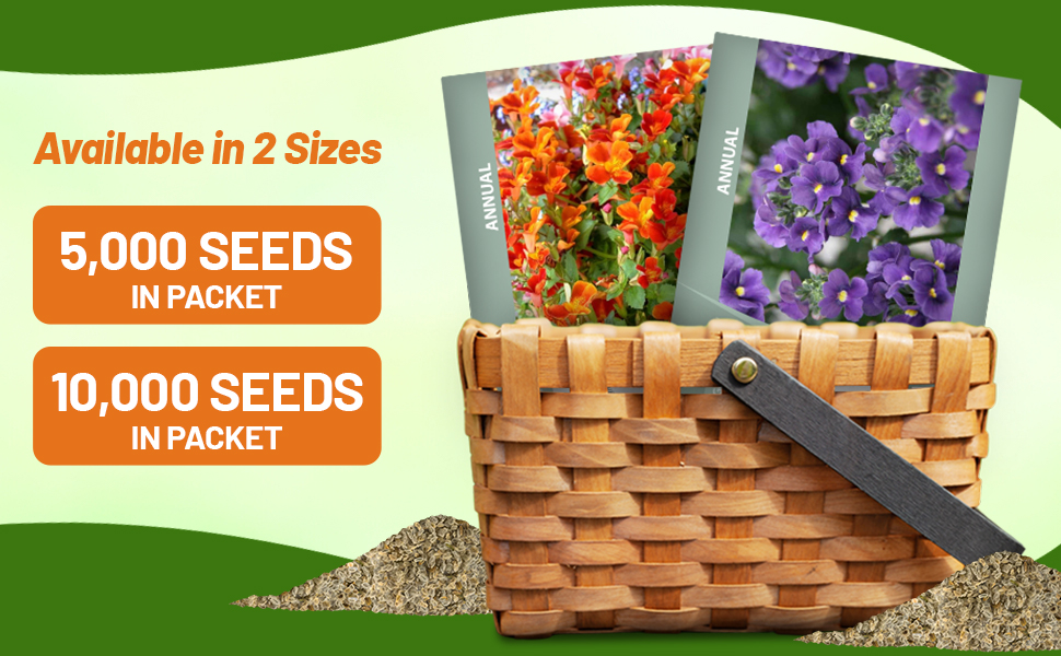 Nemesia Seed Packets For Planting