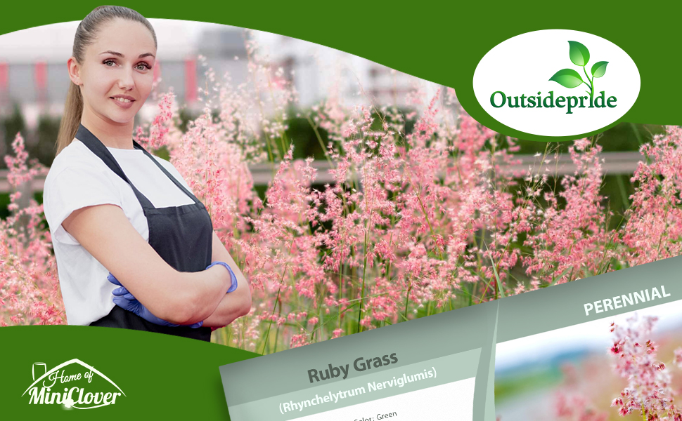 Ruby Ornamental Grass Border