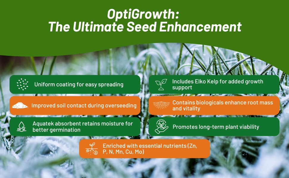 OptiGrowth Coated Poa Supina Seeds For High Germination & Establishment