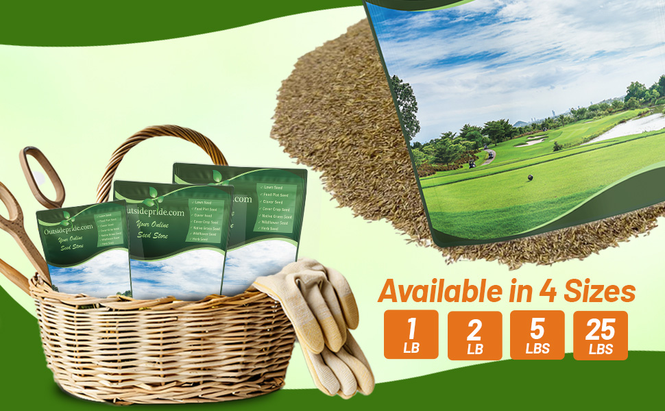 V8 Creeping Bent Grass Fairyway Seed