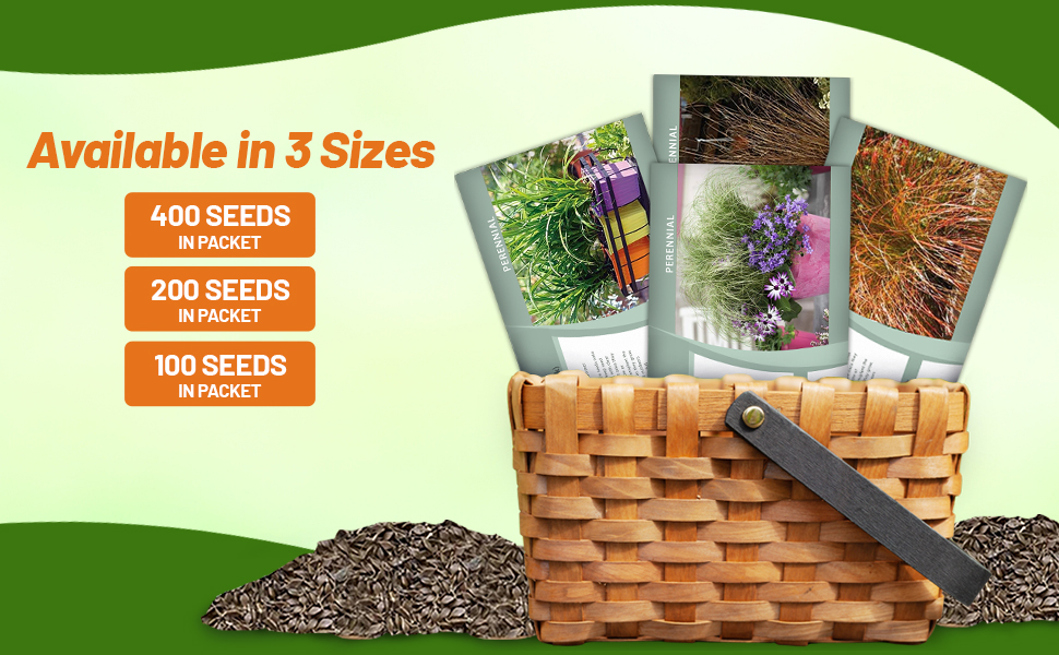 Carex Ornamental Grass Seed Packets For Planting