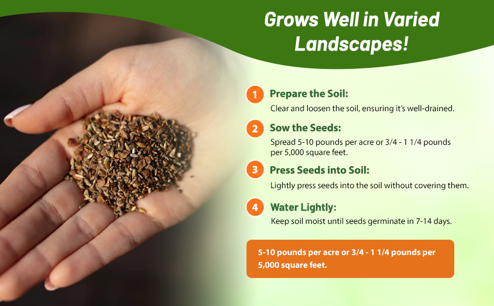 Planting Directions For Rock Garden Annual Flower Seeds