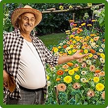 Low Maintenance Pot Marigold Calendula Flower Garden