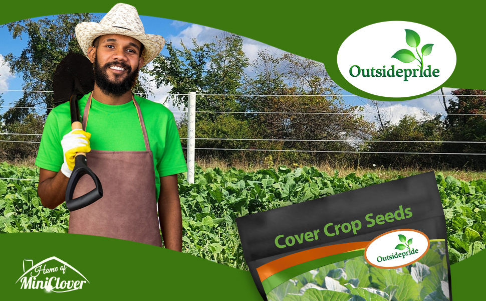 Kale Cover Crop Garden