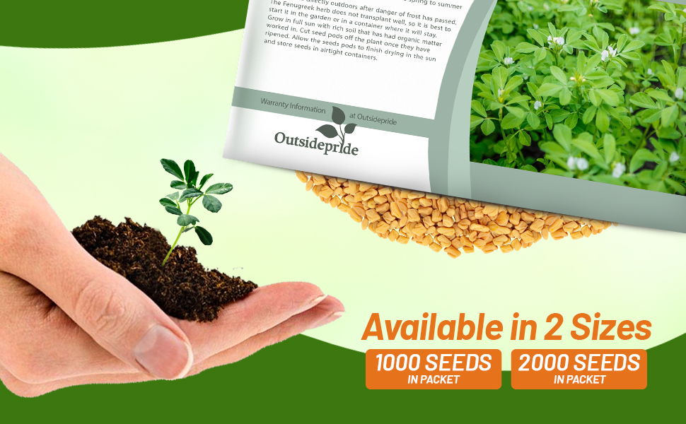 Fenugreek Herb Garden Seed Packets