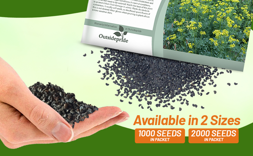 Ruta Graveolens Rue Herb Seed Packet For Planting