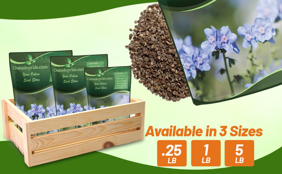 Blue Chinese Forget Me Not Seed Bag For Planting