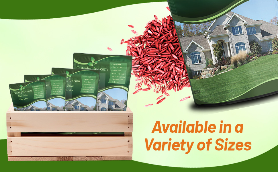 Combat Southern Turf Type Fesuce Grass Seed Bulk Pounds