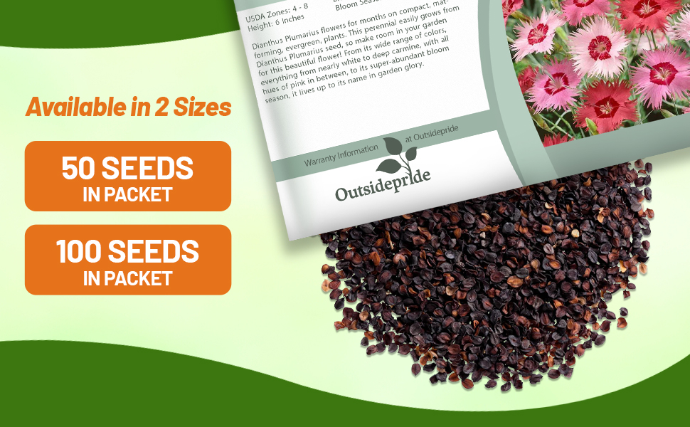Diainthus Sweetness Flower Seed Packet For Sale