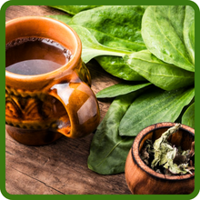 Nutrient-Rich Leaves of Plantain