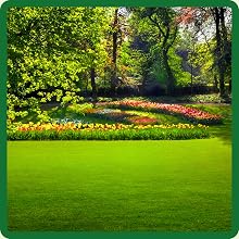 Full Sun & High Shade Areas of Adaptation For Creeping Red Fescue