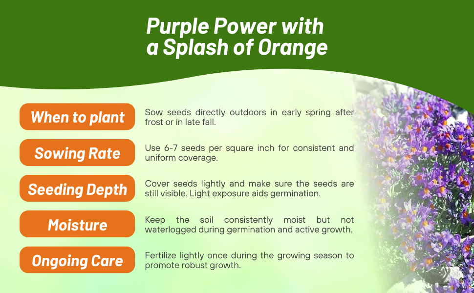 Planting Directions & Care For Alpine Toadflax Drought Tolerant Plants
