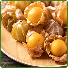 Nutrient Rich Physalis Fruits